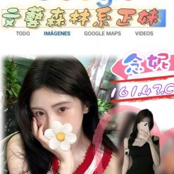 台北外送茶 念妮 援交