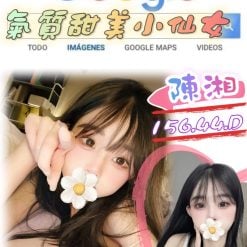 台北外送茶 陳湘 援交