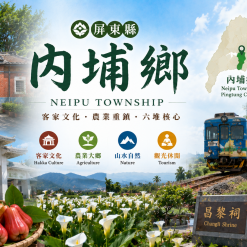 內埔定點茶