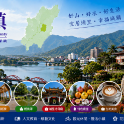 埔里定點茶