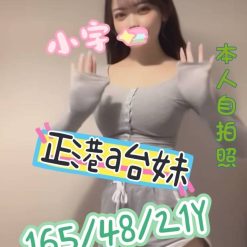 小宇 嘉義外送/西區定點茶