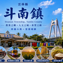 斗南定點茶
