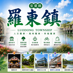 羅東定點茶