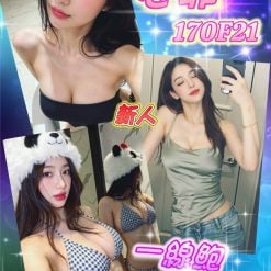 台北外送/桃園茶 芯菲 援交