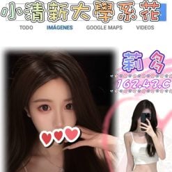台北外送茶 莉多 援交