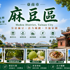 麻豆定點茶