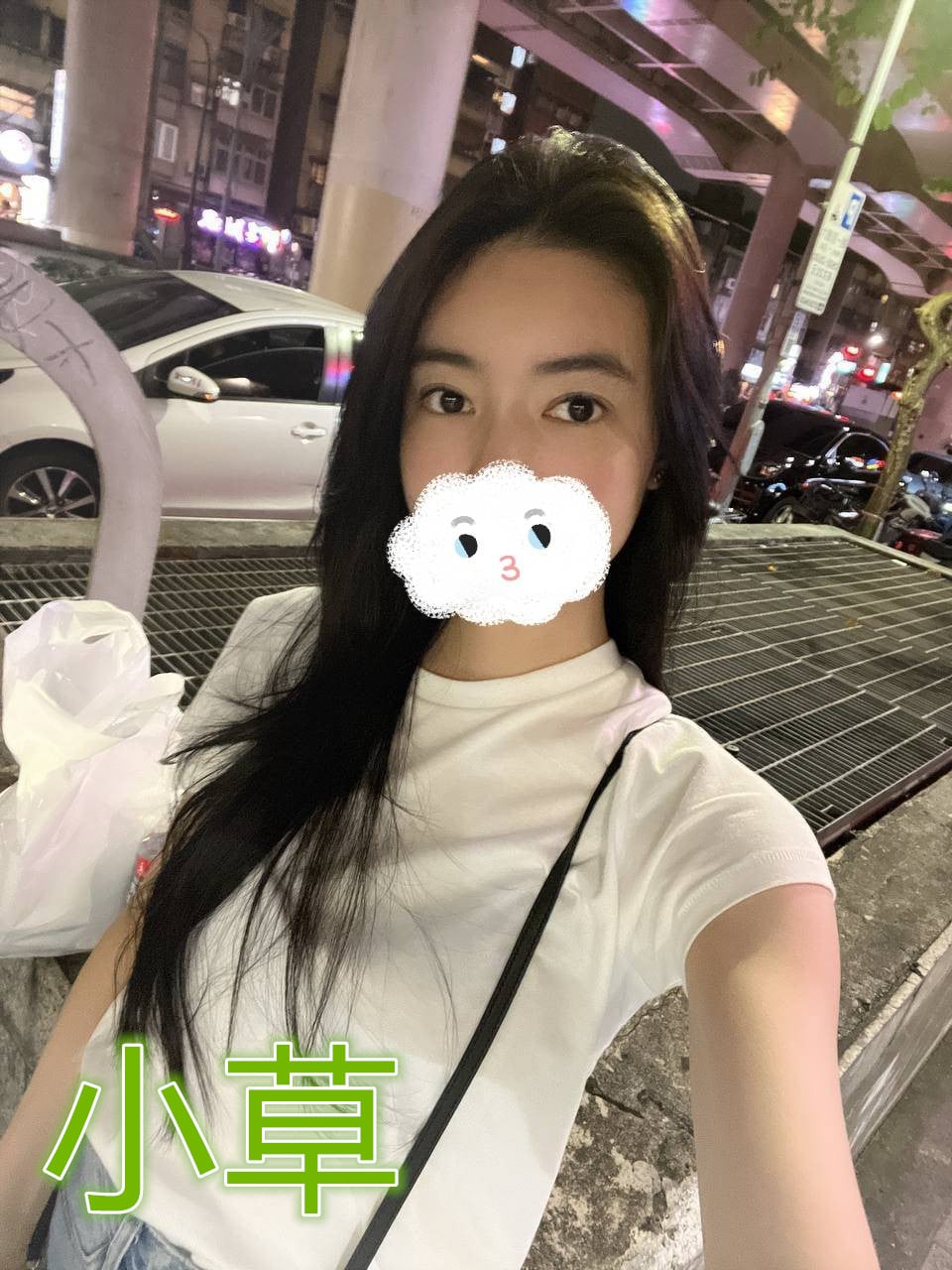 台北/新北外送茶 小草 援交
