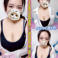 高潮 嘉義西區定點茶