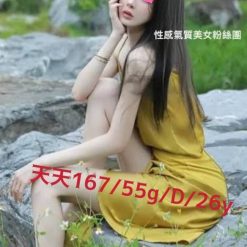 天天 嘉義外送茶