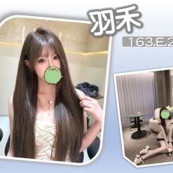 台北/新北外送茶 羽禾 援交