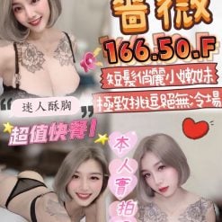 薔薇 苗栗縣頭份區定點茶