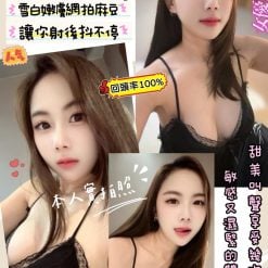 企鵝 新竹東區定點茶
