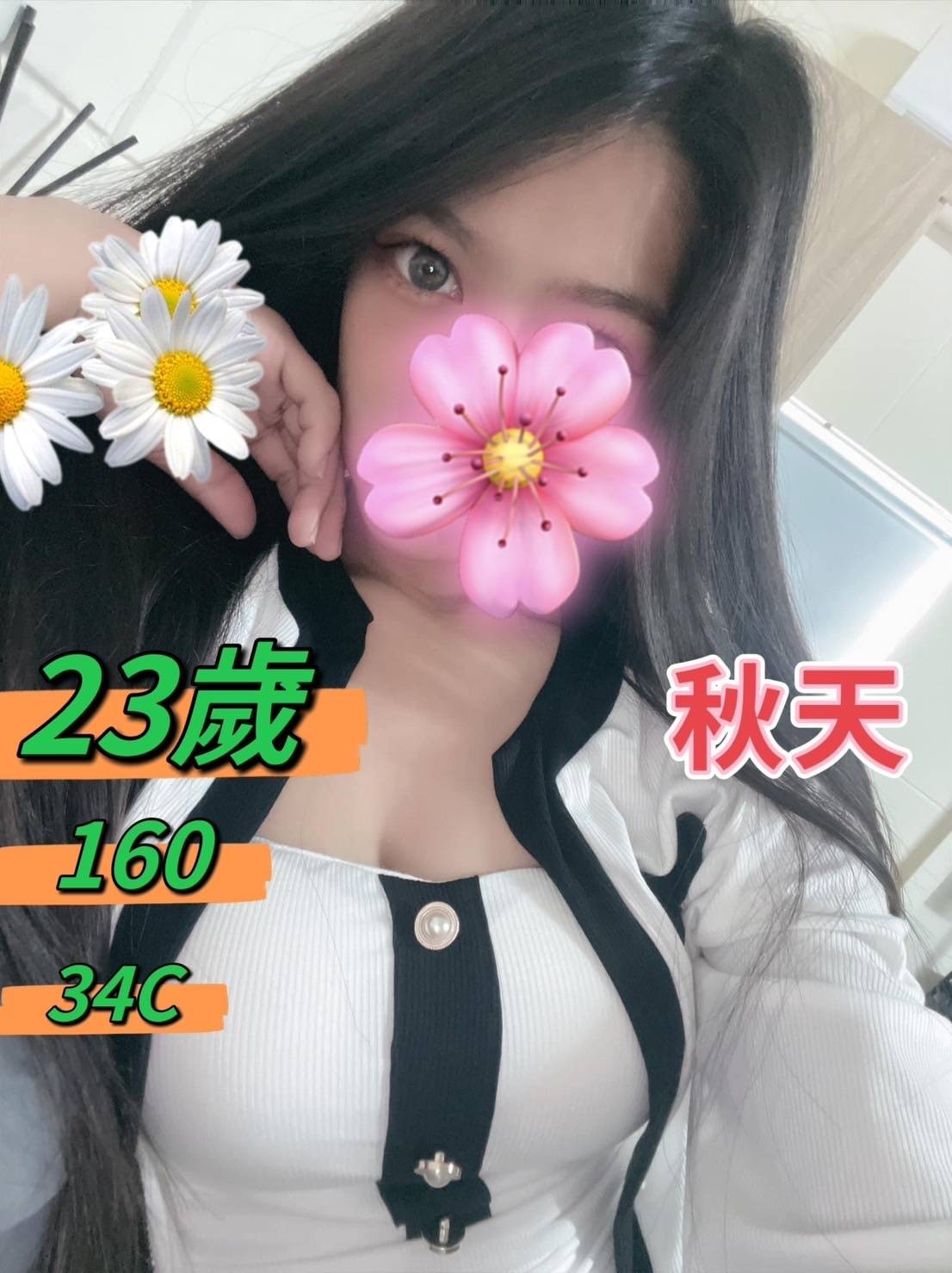 秋天 台中北區定點茶