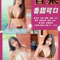 香菜 苗栗頭份定點茶