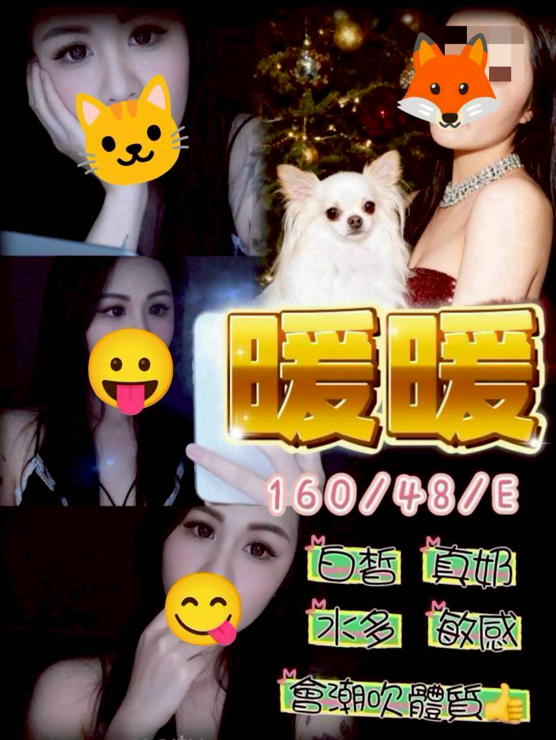 台中北區定點茶 暖暖