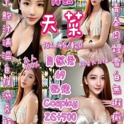 天菜 新竹東區定點茶