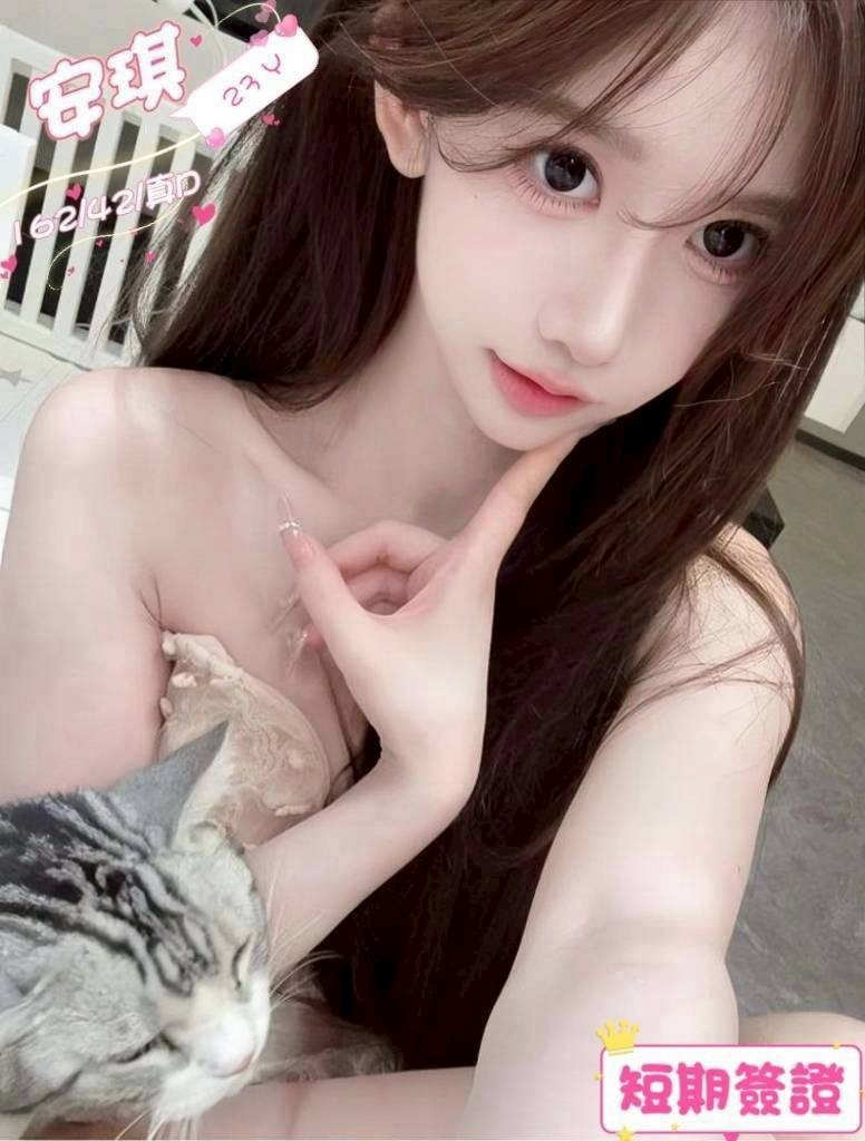 安琪 台中市北區定點茶