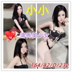小小 新竹外送/東區定點茶
