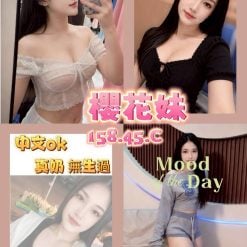 櫻花妹 台南市新營區定點茶