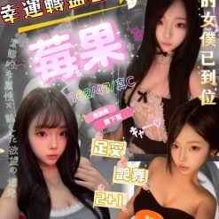 莓果 新竹東區定點茶