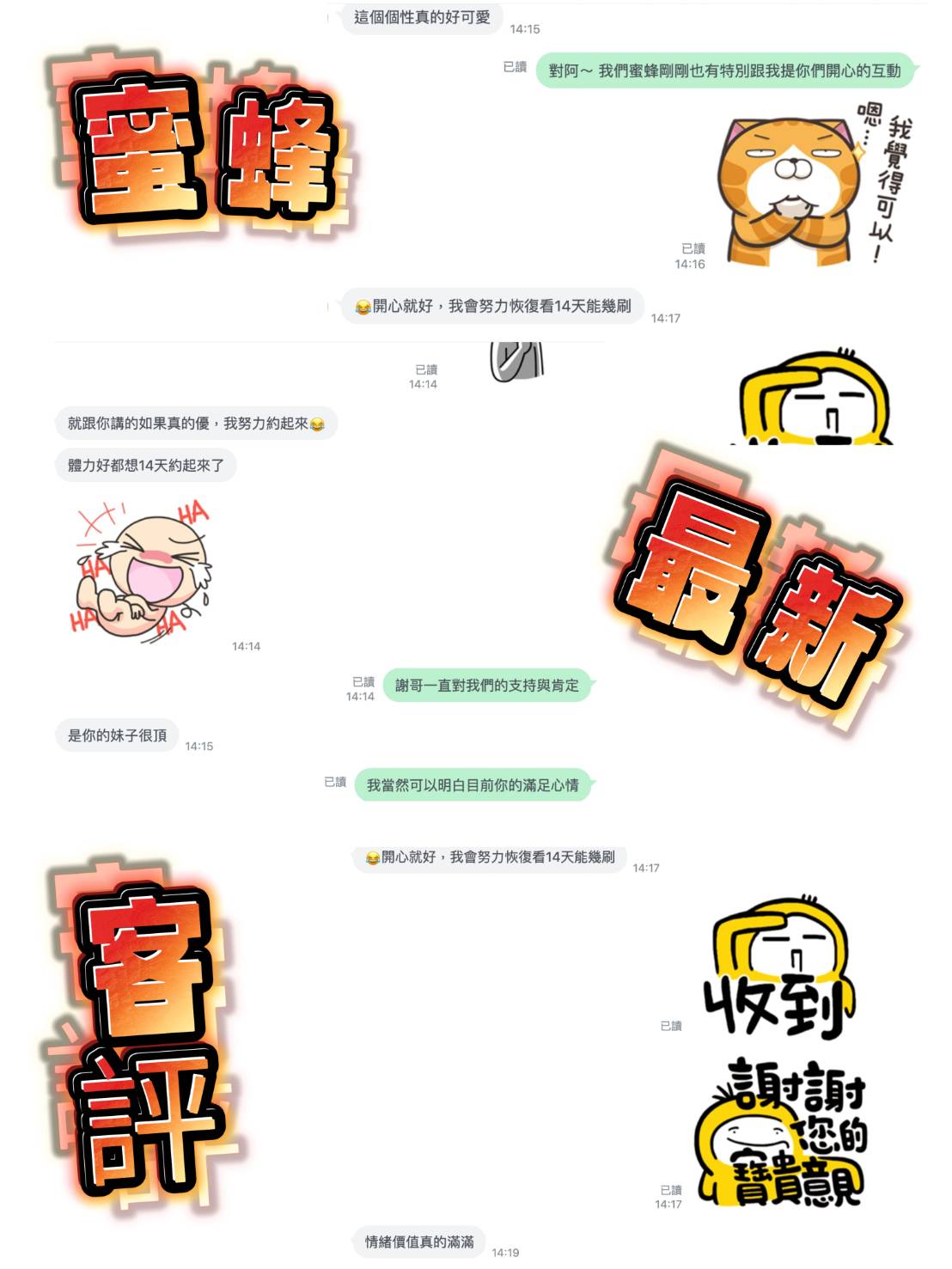 蜜蜂 桃園觀音定點茶:圖片 3
